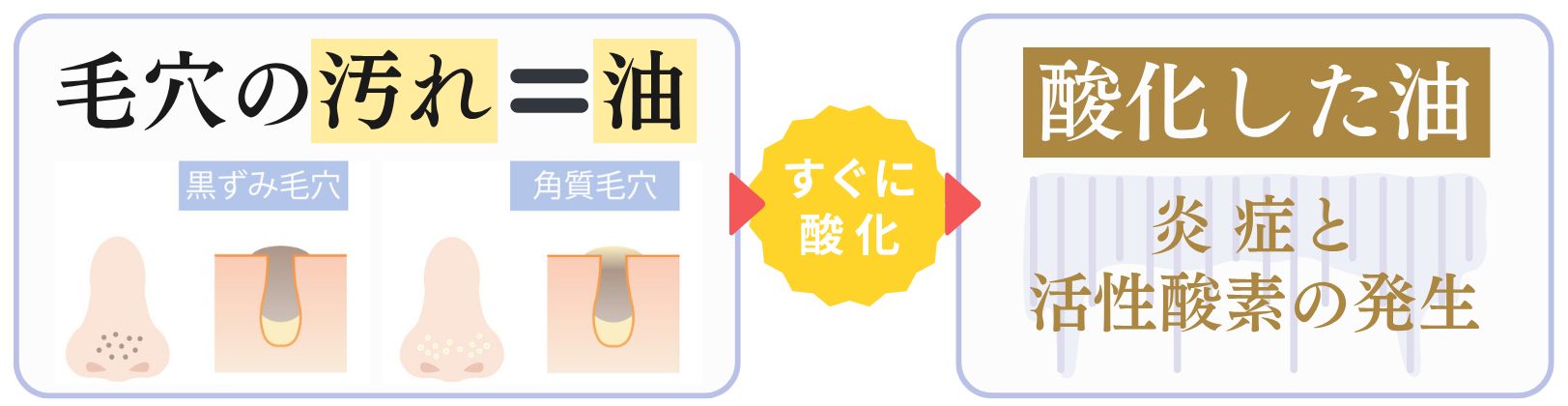 毛穴の汚れ＝油→すぐに酸化→酸化した油→炎症と活性酸素の発生